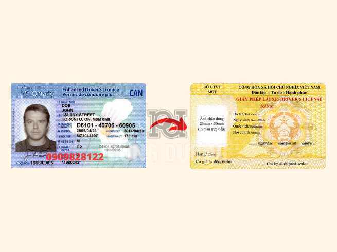 đổi bằng lái xe Canada sang Việt Nam