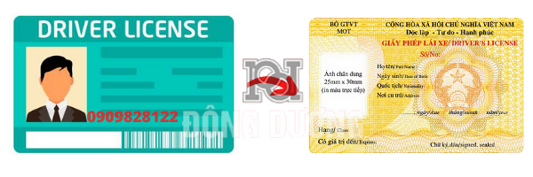 Đổi Bằng Lái Xe Người Nước Ngoài