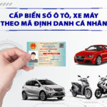 biển số xe định danh.